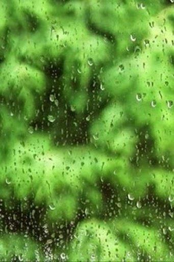 Rain drops screen Live Wallp截图3