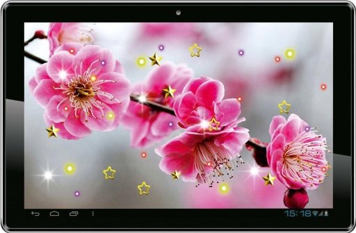 Sakura Spring Garden HD LWP截图5