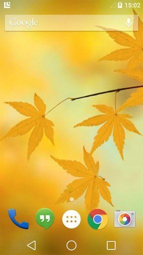 Fallen Leaves Live Wallpaper截图5