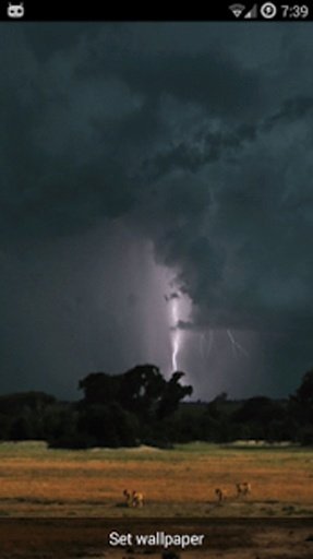 Real Lightning Storm截图2