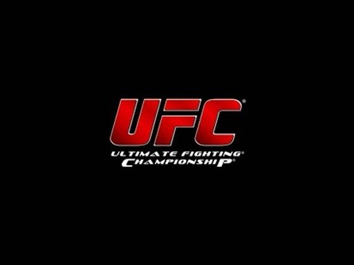 UFC Fans截图3