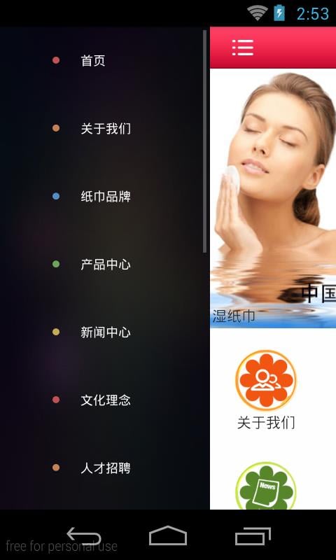 湿纸巾网截图4