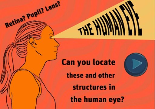 The Human Eye截图1