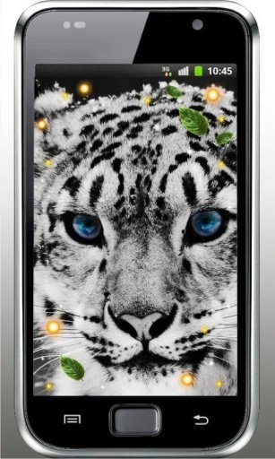 Snow Leopard live wallpaper截图2