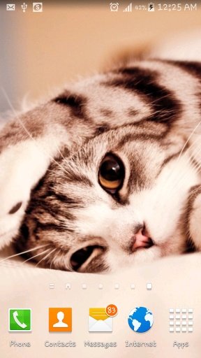 Innocent Cat Live Wallpaper截图4