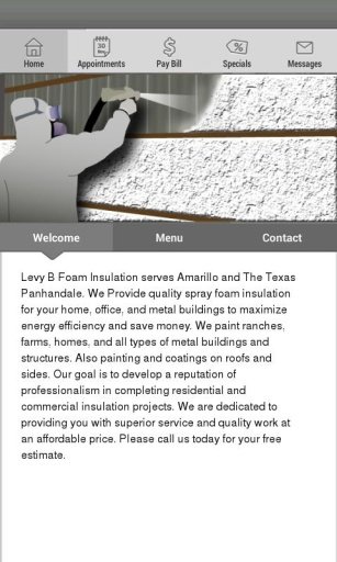 Levy B Foam Insulation截图2