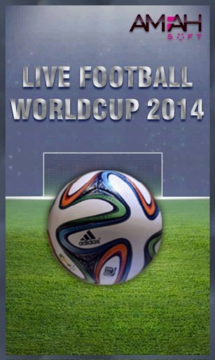 Football Worldcup 2014截图6