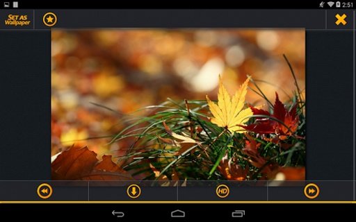 HD - Nature Wallpapers截图2