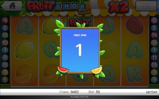 Fruit Slot Machine Pokies Slot截图1