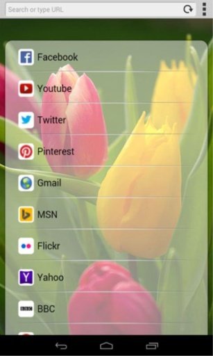 Rocket speed Mobile browser截图2