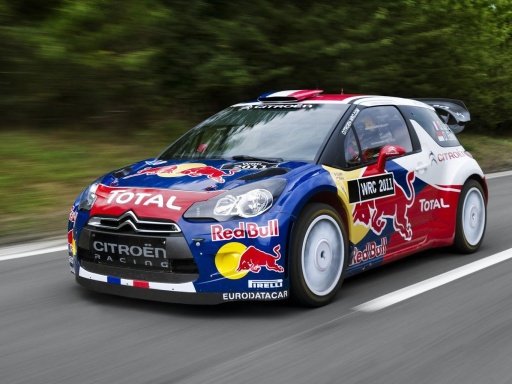 WRC World Rally Car Racing截图1