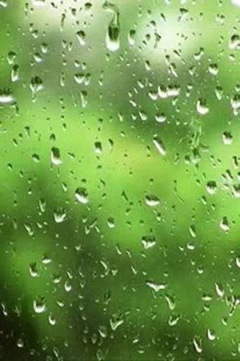 Rain drops screen Live Wallp截图5