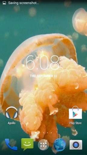 Jellyfish. Video Wallpaper截图3