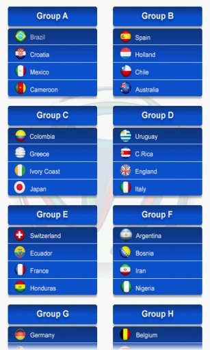 Football Worldcup 2014截图3