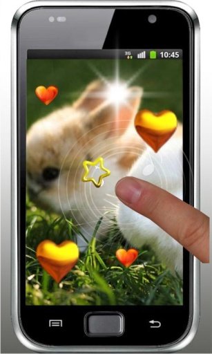 Valentine Rabbits HD LWP截图2