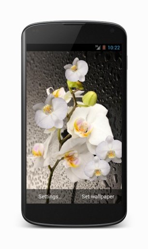 Orchid live wallpaper截图4