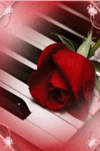 Red Rose On The Piano截图4