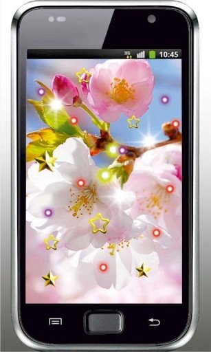 Sakura Spring Garden HD LWP截图2