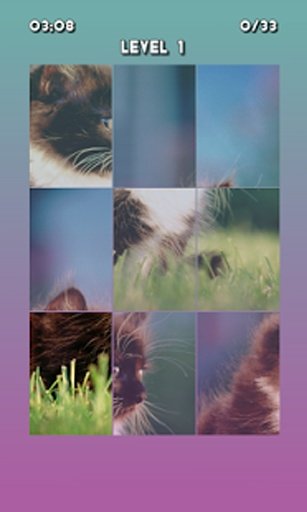 Kitty Cat Jigsaw Puzzle截图1