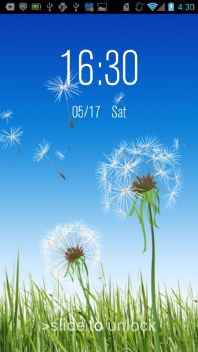 Dandelion Lock截图4