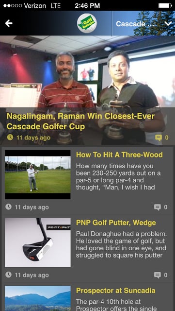 Golf Washington截图5