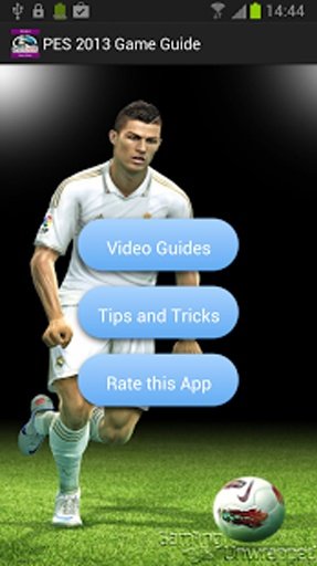 PES 2013 Game Guide截图3