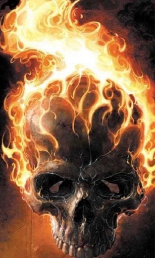 Skull n Flames Wallpapers HD截图3