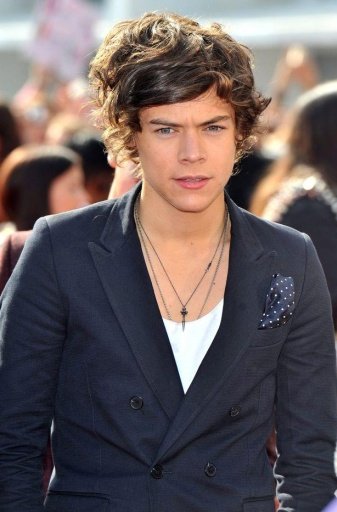 Harry Styles Wallpapers截图1