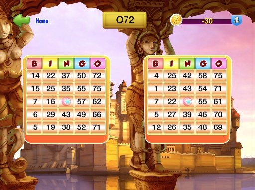 Video Bingo Fortune Play截图4