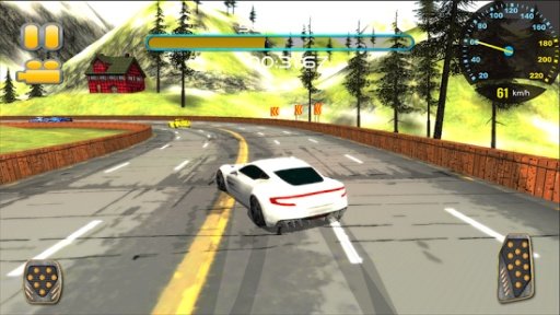 Alpine Drift Mountain Racing截图4