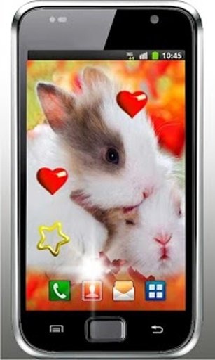 Valentine Rabbits HD LWP截图6