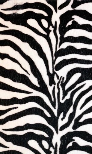 black and white zebra print截图1