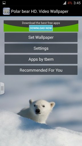 Polar bear HD. Video Wallpaper截图4