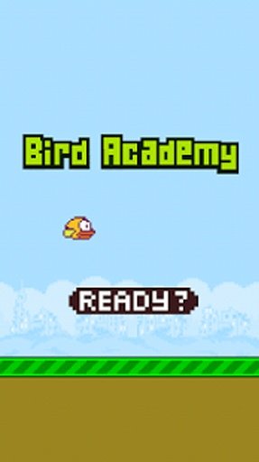 Bird Academy截图8