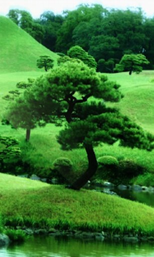 Zen garden Live Wallpaper截图5