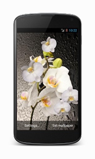 Orchid live wallpaper截图2