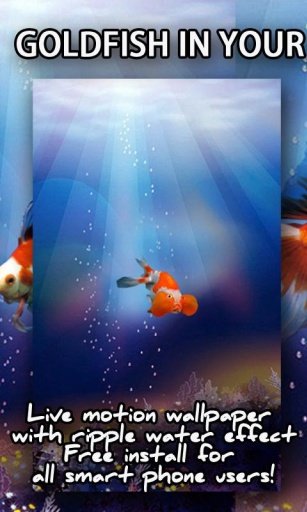 Goldfish In Your Pocket LWP截图1