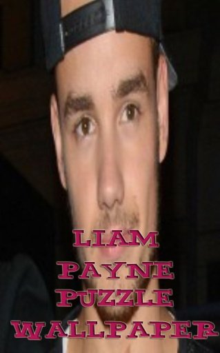 Liam Payne Puzzle Wallpaper截图5