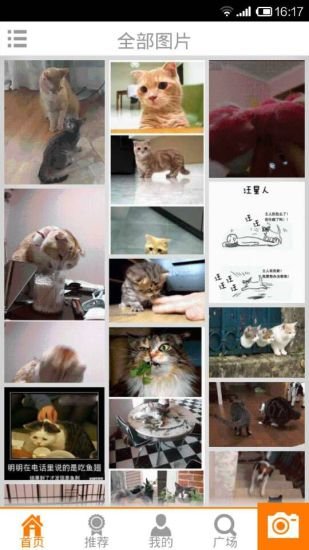 猫狗萌宠物截图2