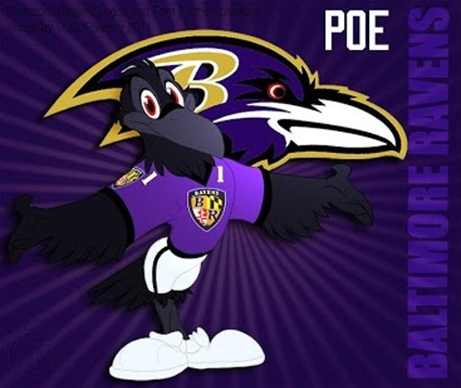 Baltimore Ravens Fan截图7