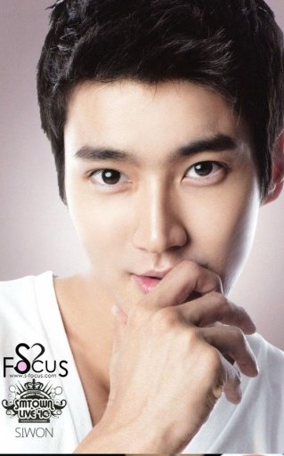 Choi Siwon Games 최시원截图8