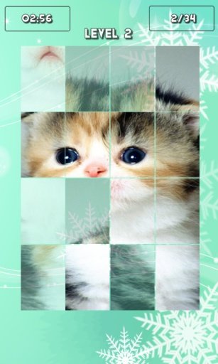 Cute Cat Puzzles截图2