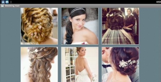 Wedding Hairstyles截图4