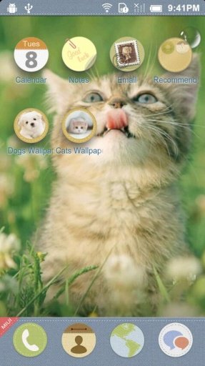 Cats 3D Cube Live Wallpaper截图1