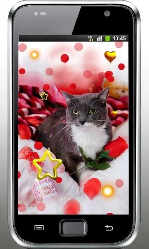 Kitty n Puppy live wallpaper截图1