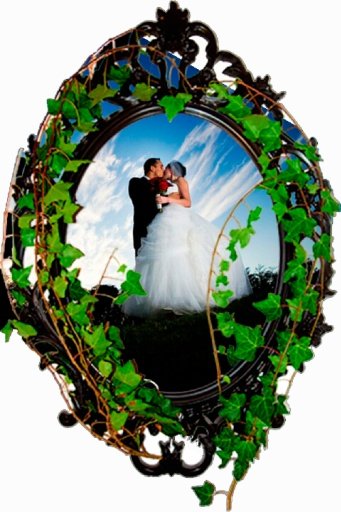 Romantic Classic Photo Frames截图1