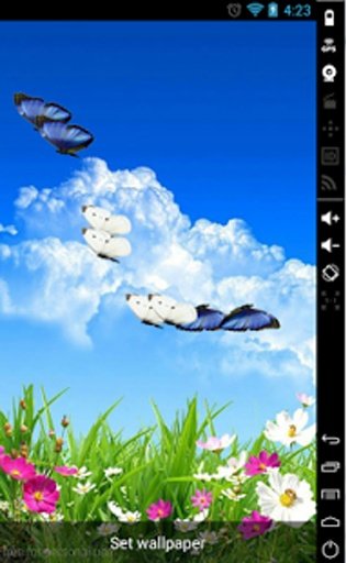 Butterfly Spring LiveWallpaper截图1