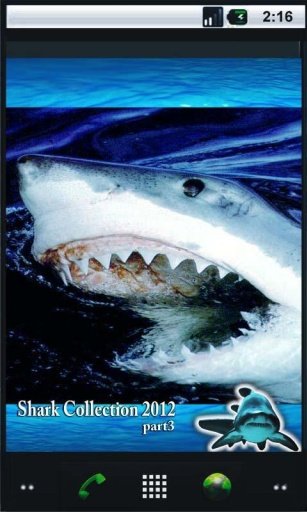 Shark Best HD Live Wallpaper截图3