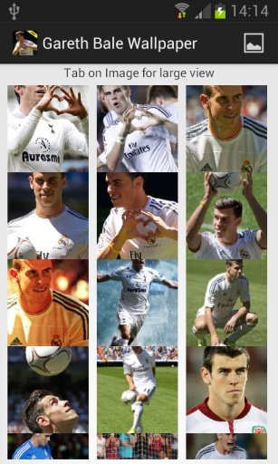 Gareth Bale Wallpaper截图2