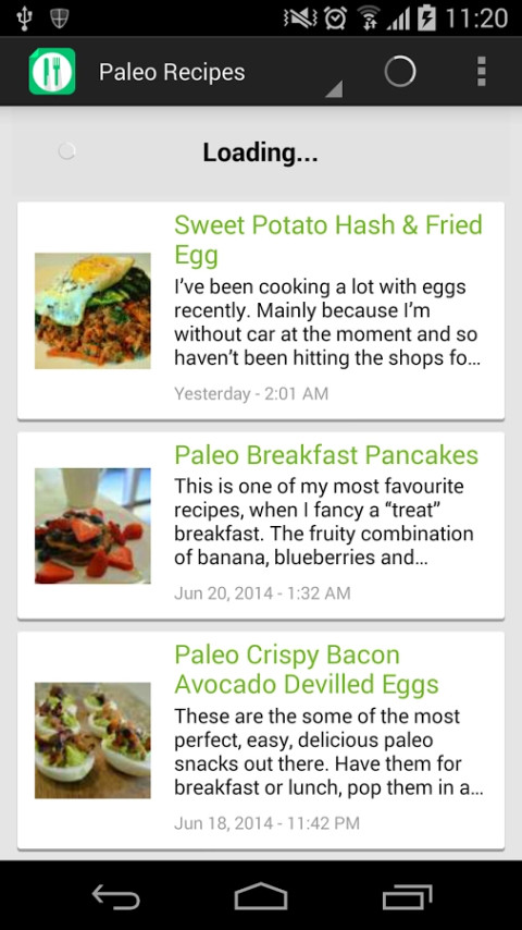 Paleo Diet Recipes截图4